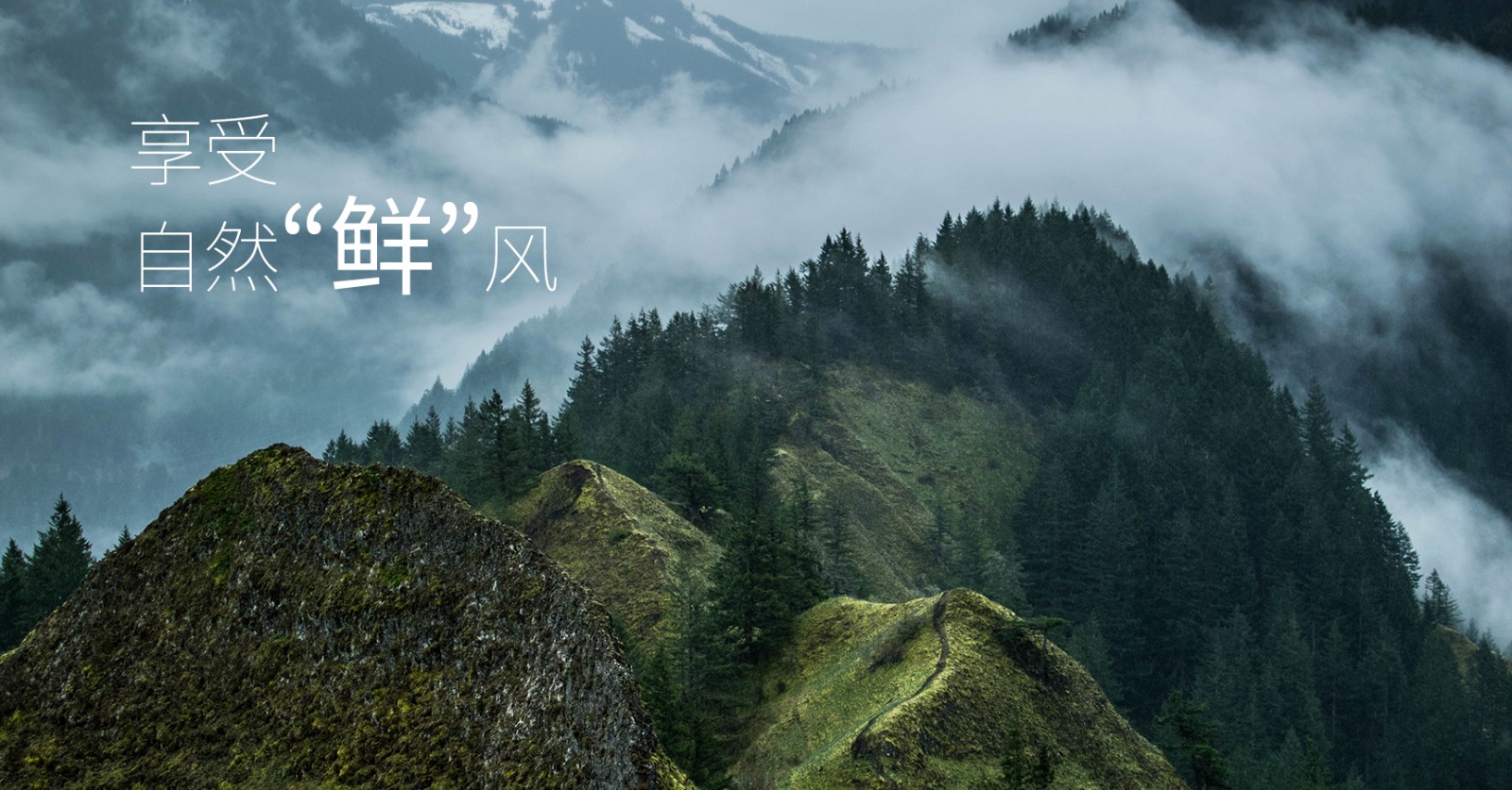 颯多大的、爽.jpg